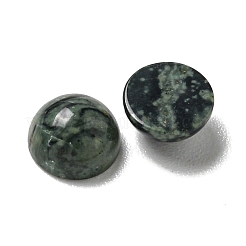 Natürliche Kambaba Jaspis Cabochons&nbsp;G-Q173-01B-22