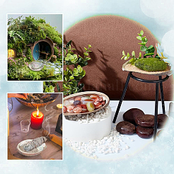 Decorazioni espositive in conchiglia di paua naturale&nbsp;DJEW-WH0042-148B