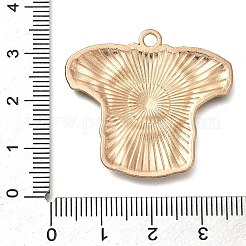 Emaille Anhänger Legierung&nbsp;X1-ENAM-Z021-01D