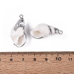 Galvanisierte Anhänger aus natürlichen Muscheln&nbsp;SSHEL-Q100-01P