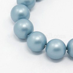 Round Shell Pearl Frosted Beads Strands, Light Steel Blue, 10mm, Hole: 1mm, about 40pcs/strands, 15.7 inch