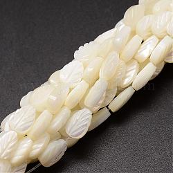 Chapelets de perles de coquille de trochid / trochus coquille, feuille, blanc crème, 9x6x3~4mm, Trou: 1mm, Environ 44 pcs/chapelet, 15.35