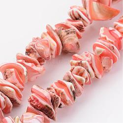 Natural Shell Bead Strands, Dyed, Nuggets, Light Salmon, 10~20x8~12x3~6mm, Hole: 1mm, about 15.7 inch