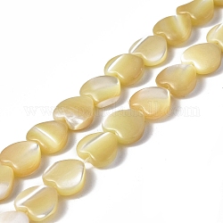 Fili di perle di conchiglia trochid naturale / trochus, cuore, verga d'oro pallido, 8x8x3mm, Foro: 1 mm, circa 51pcs/filo, 15.47 pollice (39.3 cm)