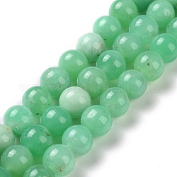 Brins naturels de perles de chrysoprase, ronde, 8mm, Trou: 1mm, Environ 50 pcs/chapelet, 15.9 pouce (40.5 cm)