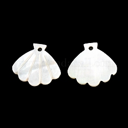 Pendenti shell bianco naturale, fascino di conchiglia, colore conchiglia, 14x15x1mm, Foro: 1 mm