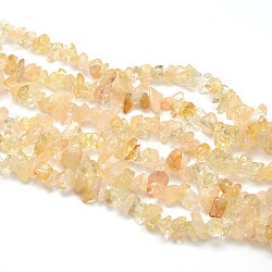 Natural Citrine Beads Strands, Chips, 8~12x8~12mm, Hole: 1mm, about 31.5 inch
