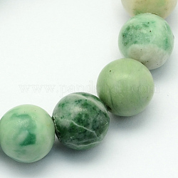Qinghai naturale perle di giada fili, tondo, 10.5mm, Foro: 1.2 mm, circa 36pcs/filo, 15.7 pollice