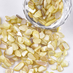 Muschel perlen, für Nagelkunstdekoration Zubehör, kein Loch / ungekratzt, gefärbt, Pommes frites, blass Goldrute, 2~13x2~5x0.5~4 mm, über 450 g / Beutel