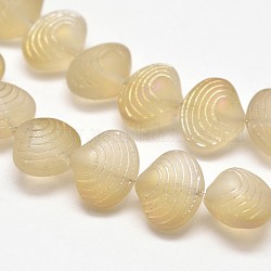 Frosted Electroplate Glass Shell Beads Strands, AB Color Plated, Pale Goldenrod, 12x14.5x10mm, Hole: 1mm, about 32pcs/strand, 16inch