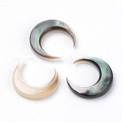 Schwarz Lippe Shell Cabochons&nbsp;SHEL-S267-04A-1