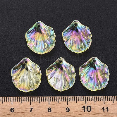 Pendentifs en acrylique transparent &nbsp;MACR-S373-73-C03-1