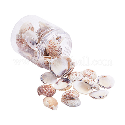 1 boîte coquilles coquilles Saint-Jacques coquille de palourde perles colorées avec des trous pour la fabrication artisanale 40-50pcs BSHE-YW0001-01-1
