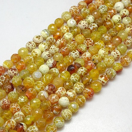 Natural Fire Crackle Agate Beads Strands G-L084-10mm-09-1