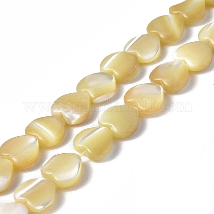 Fili di perle di conchiglia trochid naturale / trochus SHEL-F003-08C-1