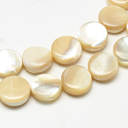 Chapelets de perles en coquillage naturel SSHEL-Q301-04-1