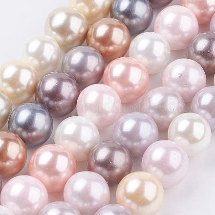 Shell Pearl Beads Strands BSHE-G012-10mm-1