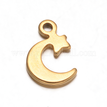 304 Stainless Steel Moon Charms STAS-M221-05G-1