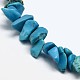 Chips Synthetic Turquoise Beads Strands G-N0134-04-2