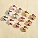 CHGCRAFT 12Pcs 6 Colors Squirrel Food Grade Eco-Friendly Silicone Beads SIL-CA0003-04-6