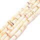 Chapelets de perles de coquillage SSHEL-E571-49I-3