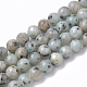 Fili di perle di diaspro / kiwi di sesamo naturale X-G-S295-14-8mm-1