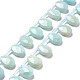 Chapelets de perles en amazonite naturelle G-I246-11-2