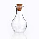 Botella de vidrio para recipientes de abalorios X-AJEW-H006-1-2