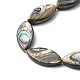 Natur Paua Muschel Perlen Stränge SHEL-F006-05-3