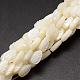 Chapelets de perles de coquille de trochid / trochus coquille SSHEL-K015-04-1