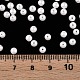 Perles de rocaille en verre&nbsp;SEED-T007-01B-5