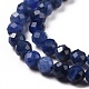 Natural Sodalite Beads Strands G-C009-A07-4
