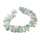 Brins de perles d'amazonite de fleurs naturelles G-B064-B35-3