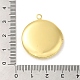 Acumular colgantes medallón de latón chapado KK-K277-06G-3