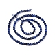 Natural Sodalite Beads Strands G-C009-A07-3