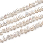 Natural Cultured Freshwater Pearl Beads Strands, Two Sides Polished, Nuggets, Antique White, 3.5~4.5x2.5~3x3~3.5mm, Hole: 0.5mm, about 48pcs/strand, 6.61 inch(16.8cm)