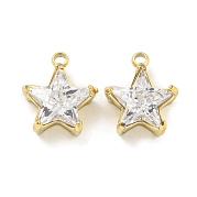 Подвески из нержавеющей стали 304 с кубическим цирконием STAS-L278-008G