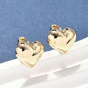 Латунные серьги обруча EJEW-D320-18G