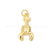 Латунные подвески KK-I364-06G-04