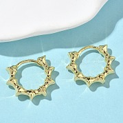Латунные серьги обруча EJEW-F383-05G