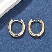 Овальные серьги-кольца из латуни EJEW-D320-09G