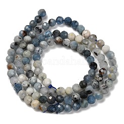 Natürliche Aquamarin Perlen Stränge&nbsp;G-H321-A02-02