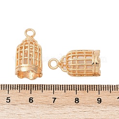 Messing Anhänger & Charms&nbsp;KK-G532-21G