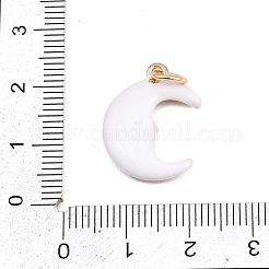 Pendentifs d'émail en laiton &nbsp;X-ENAM-I087-03C