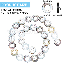 1 Strang natürliche schwarze Lippenmuschelperlen Rahmenstränge&nbsp;SHEL-BC0001-024