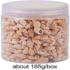 Naturspirale Muschelperlen&nbsp;SSHEL-PH0002-10