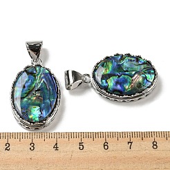 Natur Paua Muschel Anhänger&nbsp;FIND-Z032-05C