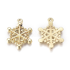 Aluminium Anhänger & Charms&nbsp;PALLOY-L228-009G