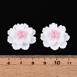 Cabochons décodés en résine&nbsp;CRES-T025-04A