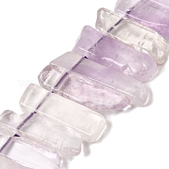 Natürlichen Amethyst Perlen Stränge&nbsp;G-S386-D04